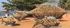Cultures-Connect-Fische